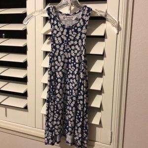 Fighting Eel Tank Tempo